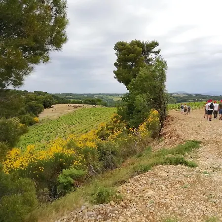 Mont-ventoux, Provence, Avec Vue Panoramique Et Piscine * Mollans-sur-Ouveze