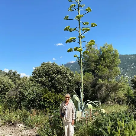 Mont-ventoux, Provence, Avec Vue Panoramique Et Piscine Apartment